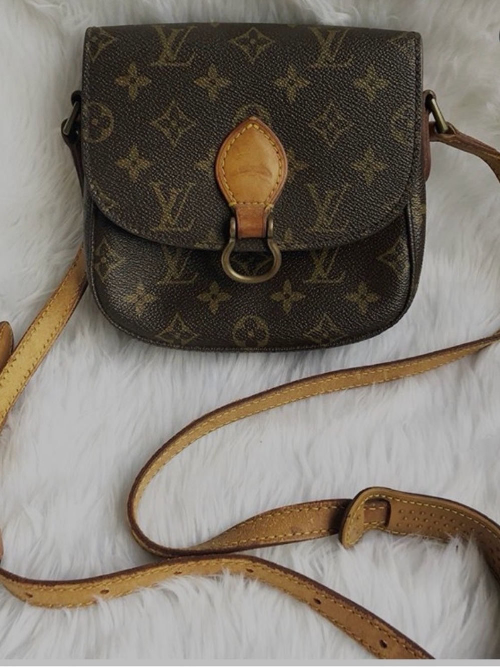 Louis Vuitton Monogram Crossbody in Monogram Canvas and Vachetta